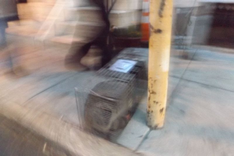 DSCF1545