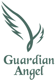 Image result for Guardian Angels