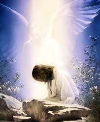 Image result for Guardian Angels